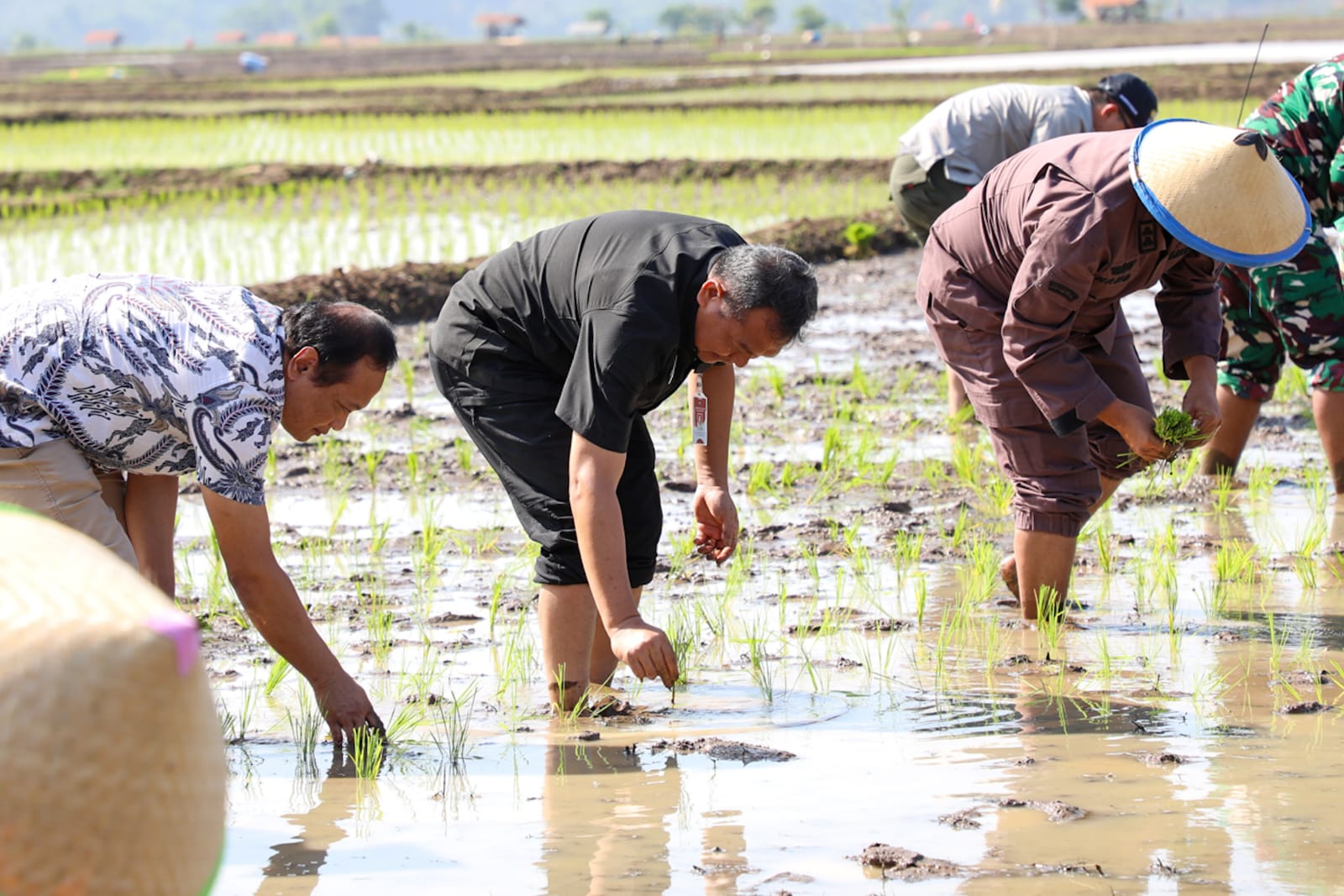 Pemkab Purwakarta Targetkan Produksi Ratusan Ribu Ton Padi Musim Tanam Pertama 2024
