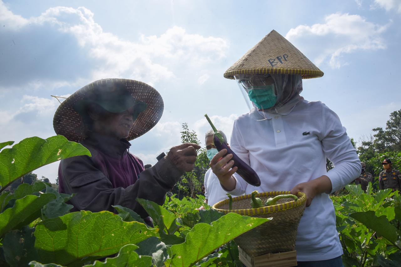 Bupati Purwakarta Pastikan Stok Bahan Pangan Aman di Era New Normal
