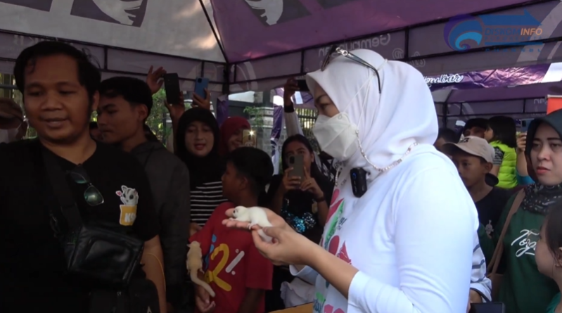 PEMKAB PURWAKARTA GELAR FESTIVAL HEWAN MELATA DI LOKASI CAR FREE DAY