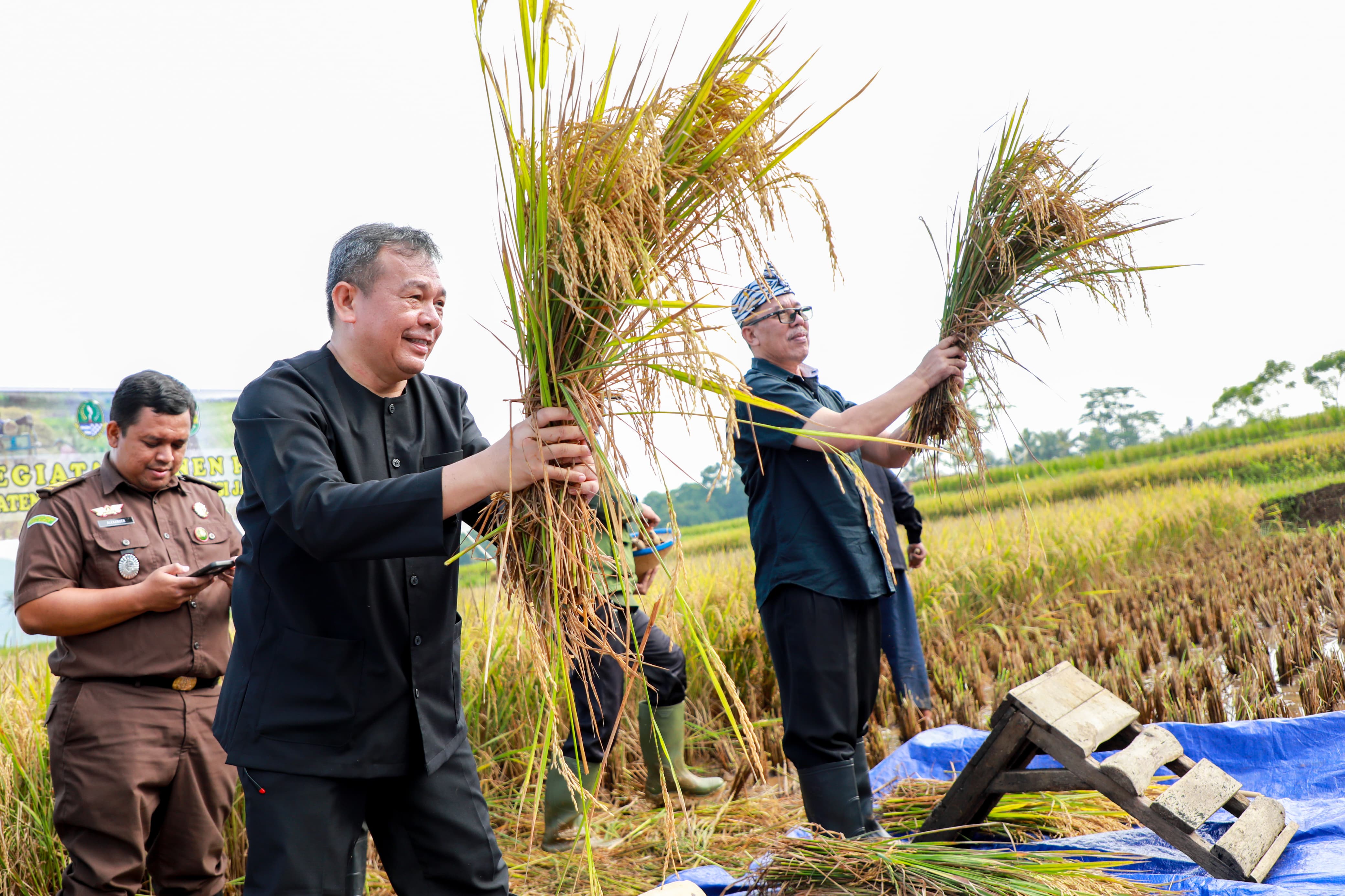 Targetkan Produksi Ratusan Ribu Ton Beras Tahun 2024, Purwakarta Benahi Infrastruktur Pertanian