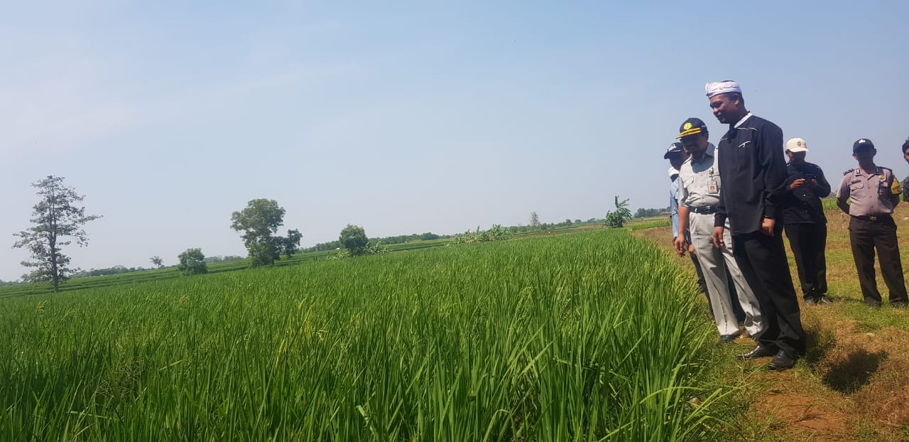 Waspadai Potensi Kekeringan, Dirjen PSP Siapkan Pompanisasi