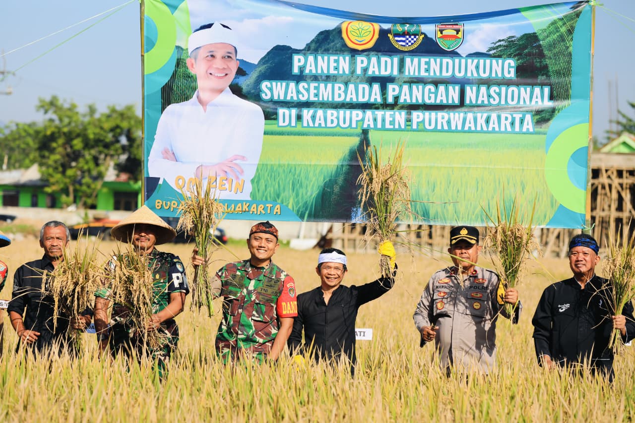 Petani Purwakarta Naik Kelas: Teknologi Modern Bawa Pertanian ke Era Baru, Hasil Panen Berlimpah