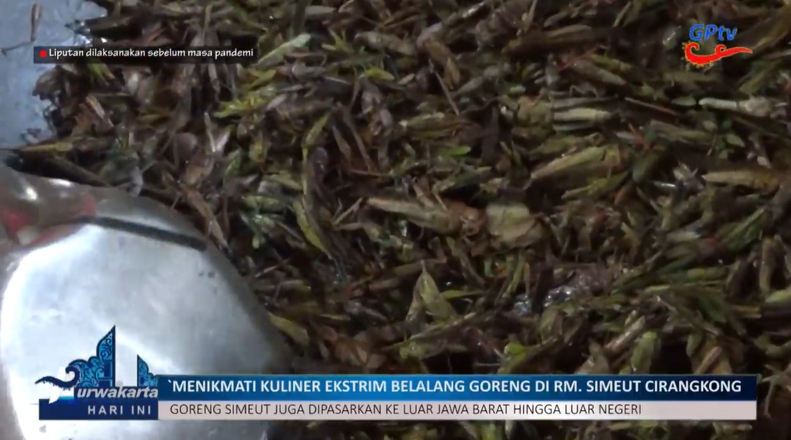 MENIKMATI KULINER EKSTREM BELALANG GORENG DI PURWAKARTA
