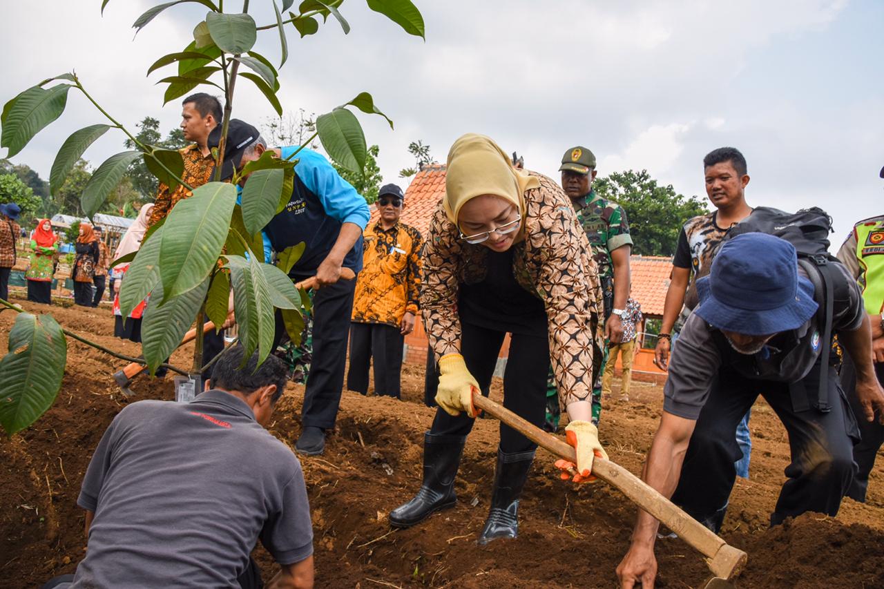 Peringati Hari Menanam Pohon, Pemkab Purwakarta Siapkan Lahan Untuk Penelitian Buah Manggis