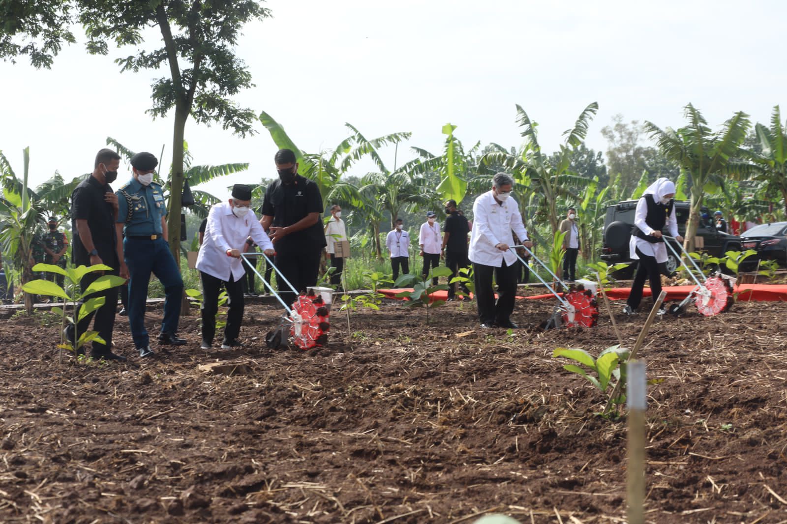 Tinjau Lokasi Program Integrated Farming, Wapres Kunjungi Purwakarta