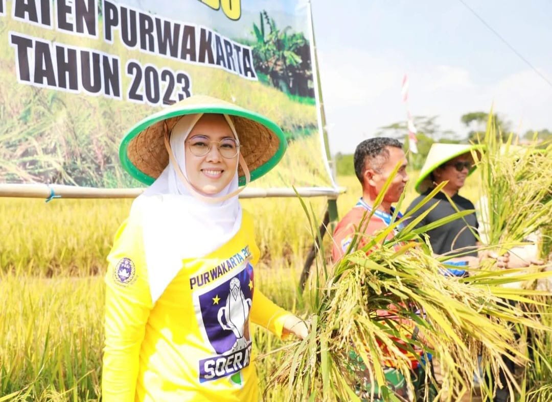 Purwakarta Siapkan Ribuan Hektar Sawah Untuk Produksi Beras Nutri Zinc Bagi Penderita Stunting
