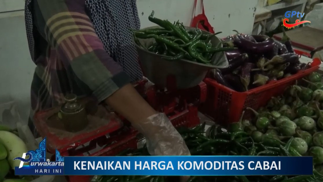 INI DIA PENYEBAB HARGA CABAI RAWIT MELONJAK