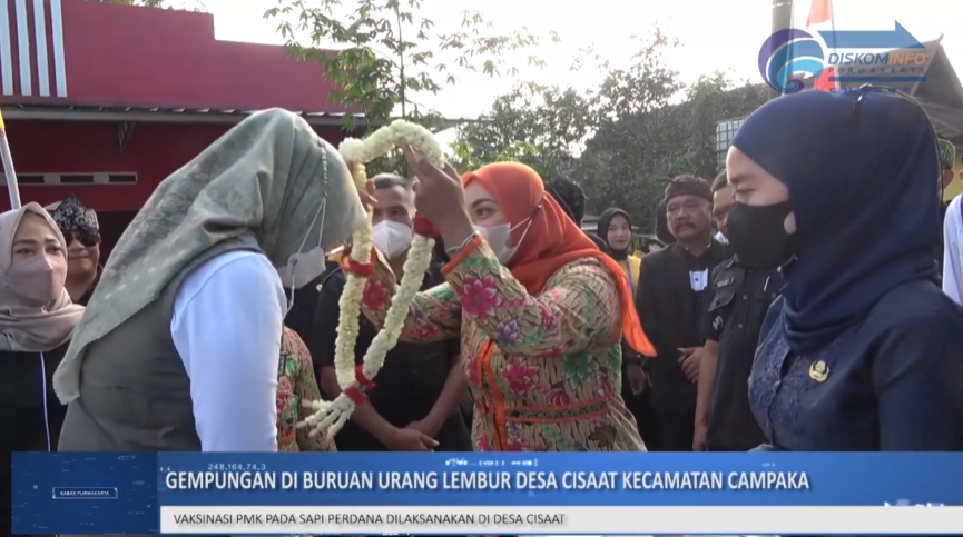 GEMPUNGAN DI BURUAN URANG LEMBUR DESA CISAAT KECAMATAN CAMPAKA