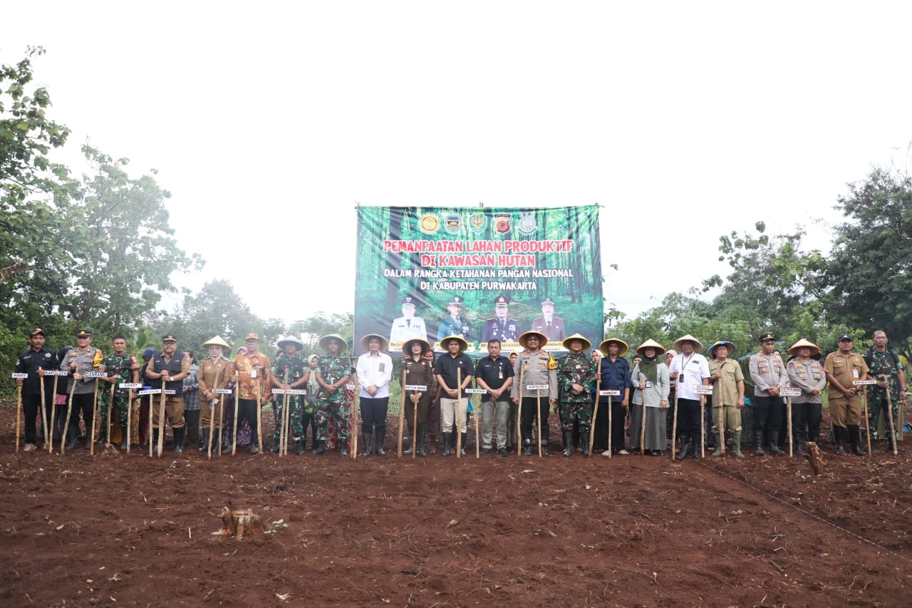 Dukung Program Pemerintah Pusat, Pemkab Purwakarta Manfaatkan Lahan Produktif untuk Tanam Padi Gogo