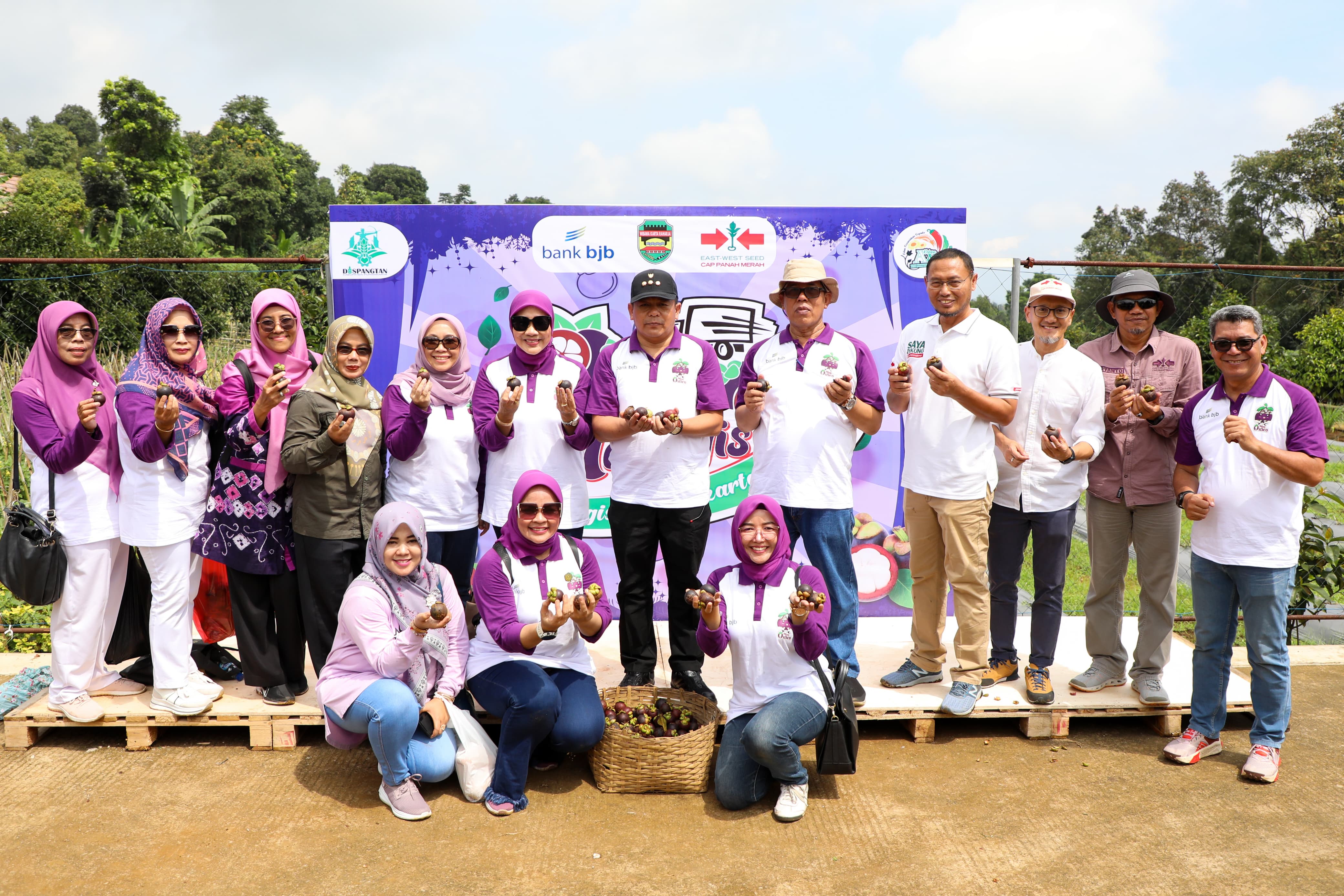 Lagi, Purwakarta Ekspor Manggis ke China