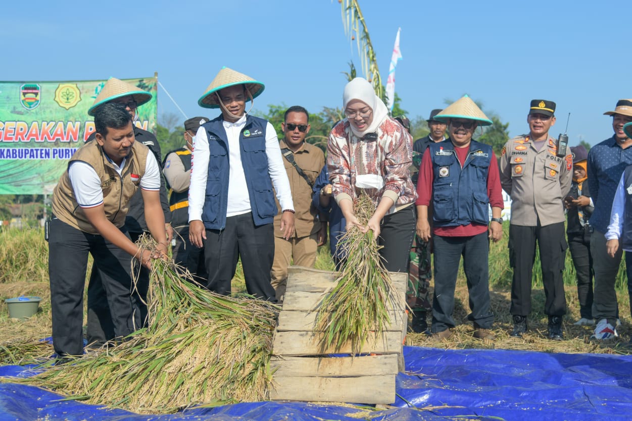 Panen Raya di Purwakarta   