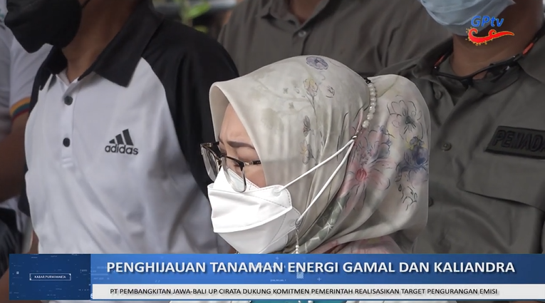 LAHAN SELUAS 2 H DI PURWAKARTA DITANAMI TANAMAN ENERGI GAMAL DAN KALIANDRA