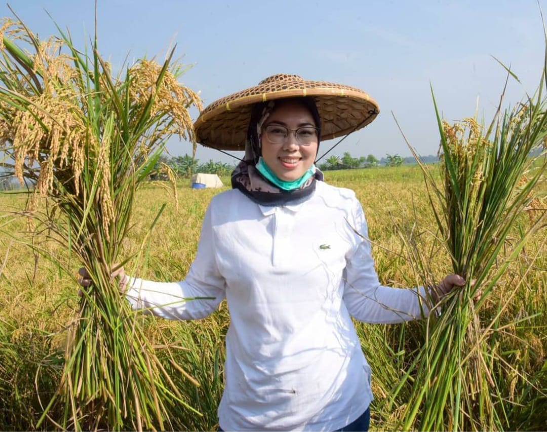 Perkuat Ketahanan Pangan, Produksi Beras Purwakarta Semester Pertama 2023 Capai Ratusan Ribu Ton