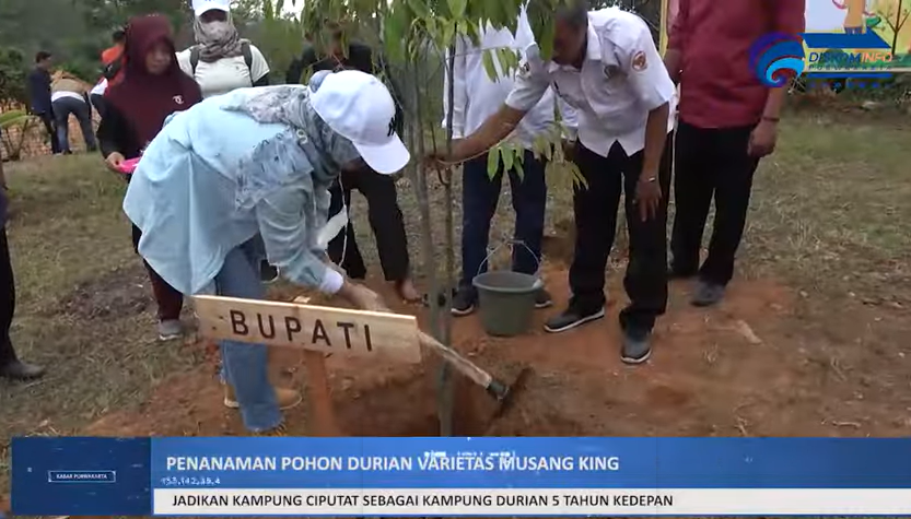 PEMKAB PURWAKARTA TANAM POHON DURIAN DI PEKARANGAN WARGA KAMPUNG CIPUTAT DESA KUTAMANAH