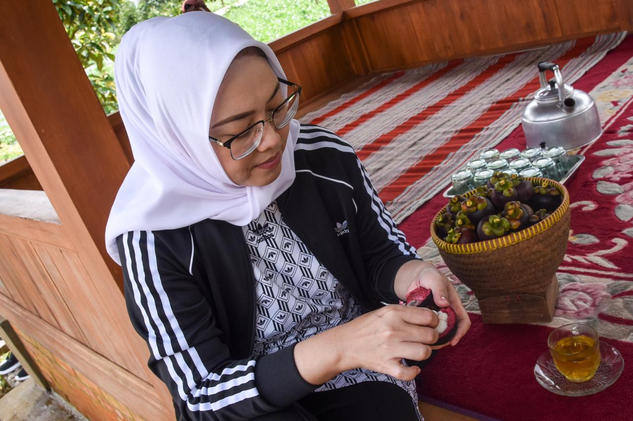 Festival Manggis 2020, Genjot Pariwisata Purwakarta dan Arena Makan Manggis Gratis