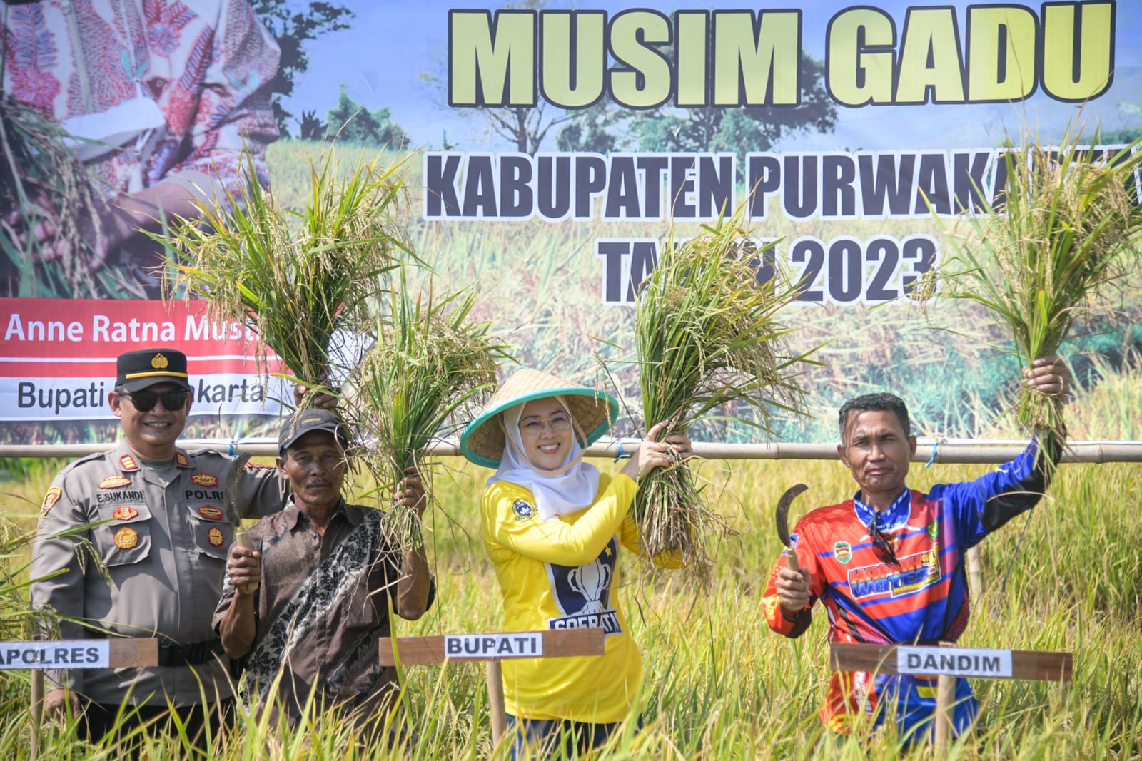 Panen Raya Sukses, Mantapkan Purwakarta Daerah Surplus Pangan Di Jawa Barat