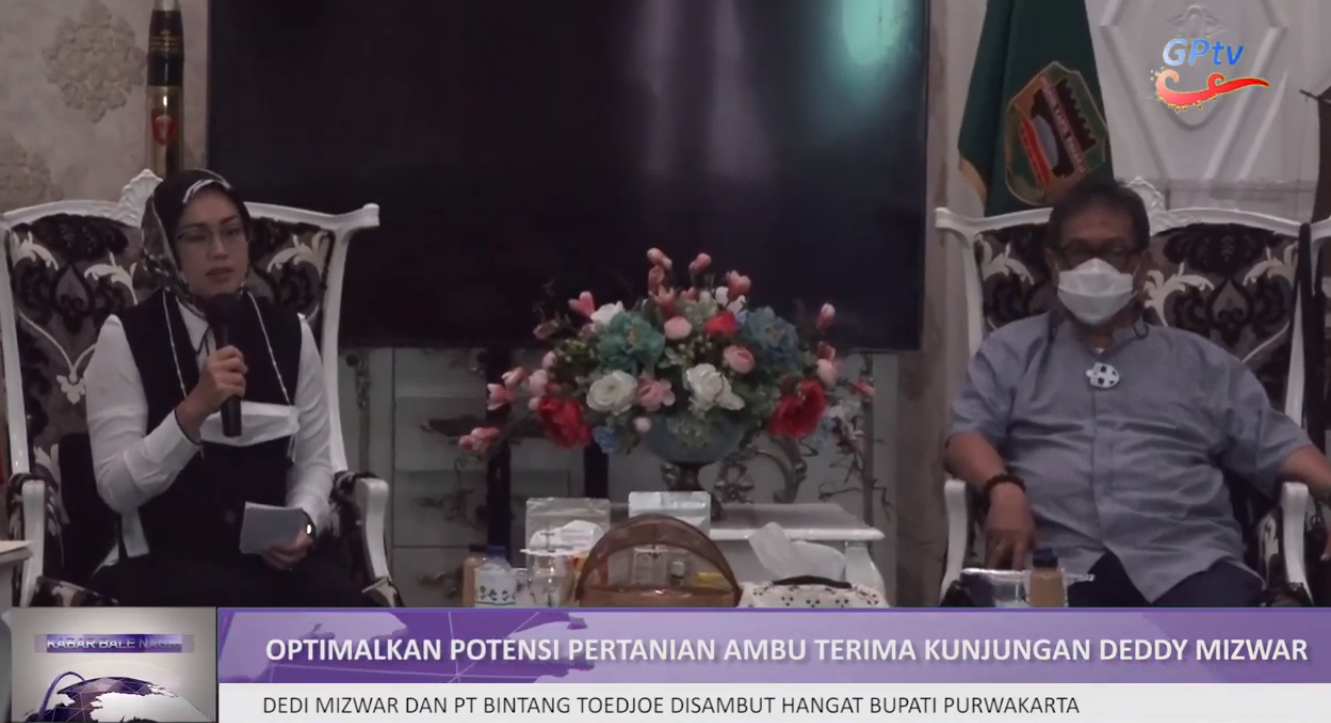 KABAR BALE NAGRI : AMBU ANNE SAMBUT KUNJUNGAN DEDDY MIZWAR TERKAIT BUDIDAYA JAHE MERAH DI PURWAKARTA