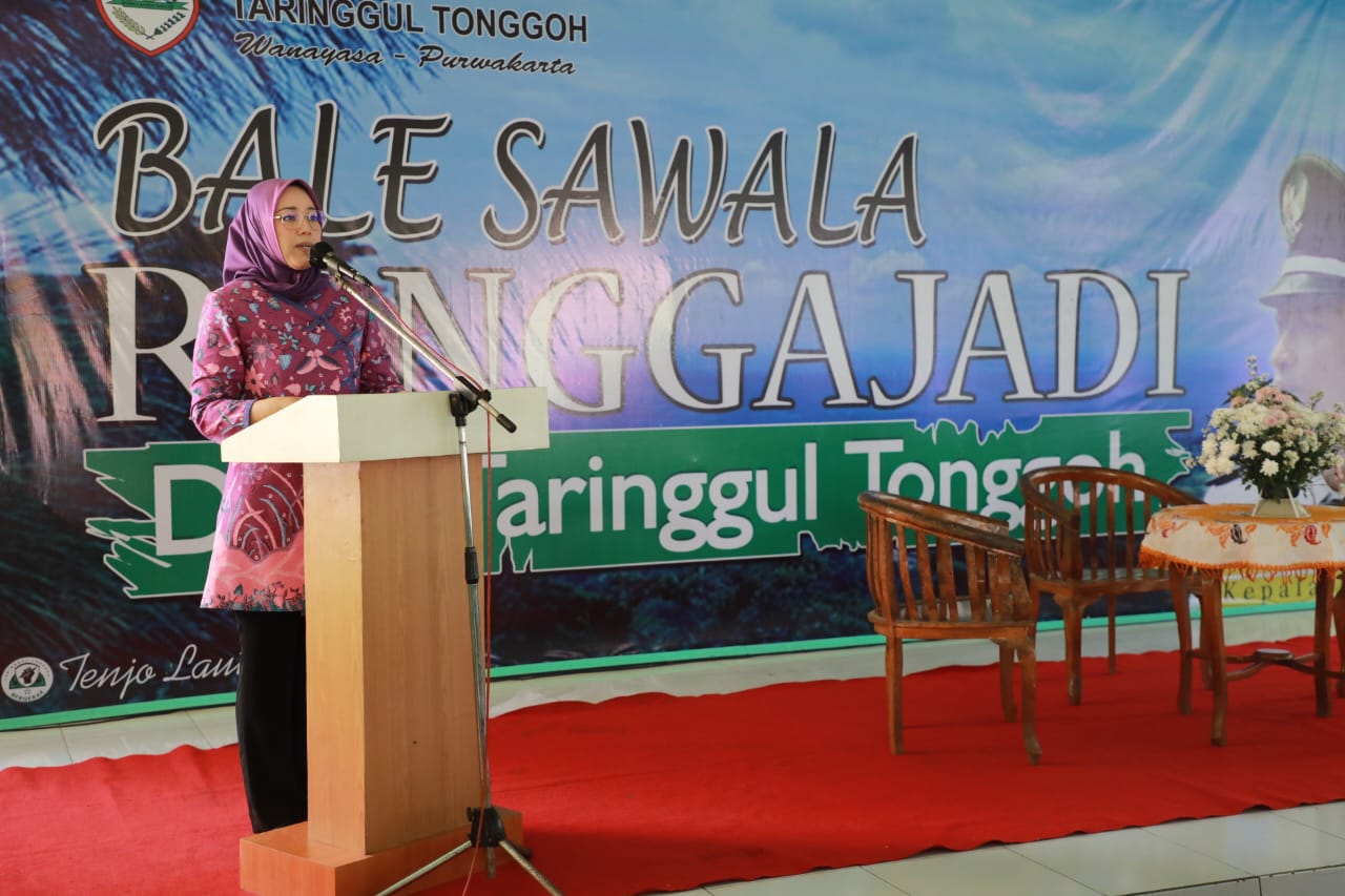 Taringgul Tonggoh, Potret Desa Terbaik di Jawa Barat