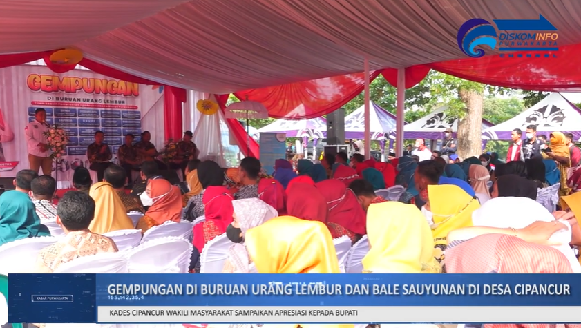 GEMPUNGAN DI BURUAN URANG LEMBUR DESA CIPANCUR, KECAMATAN CIBATU