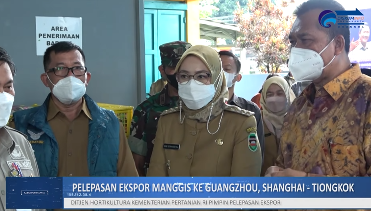 AMBU ANNE RATNA MUSTIKA EKSPOR 500 TON MANGGIS PURWAKARTA KE TIONGKOK