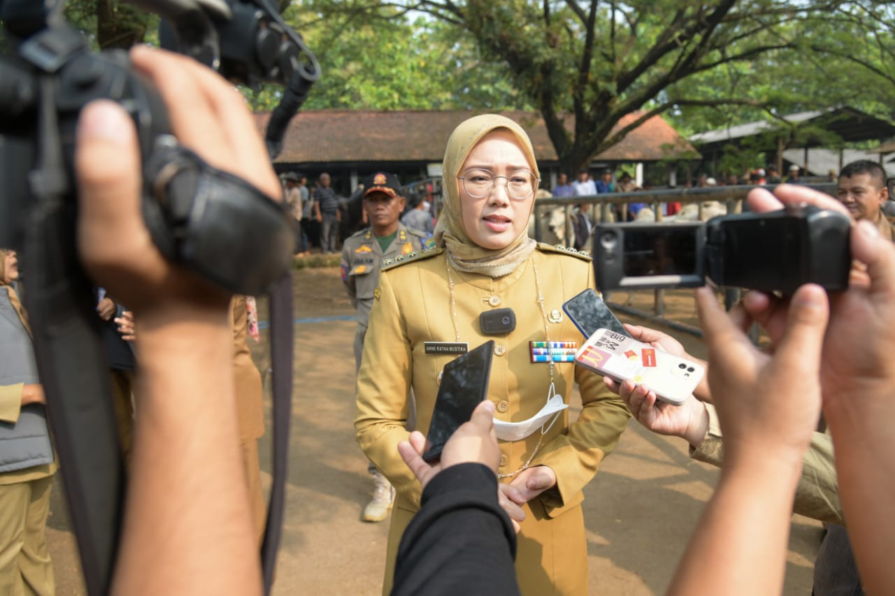 Bupati Purwakarta Gerak Cepat Atasi Penyakit LSD, Ribuan Sapi Dan Kerbau Berhasil Divaksinasi