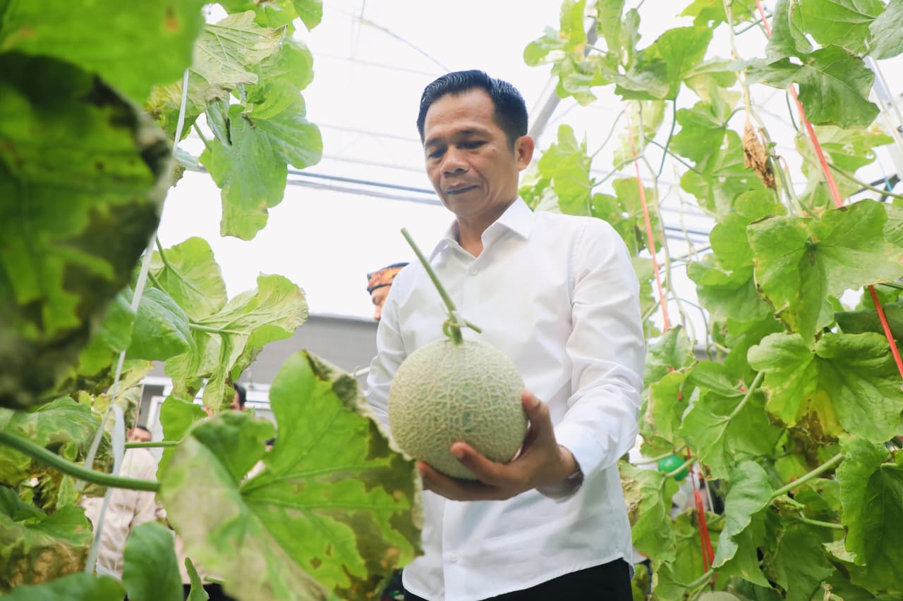 Panen Melon dan Harapan Baru untuk Petani Muda Purwakarta