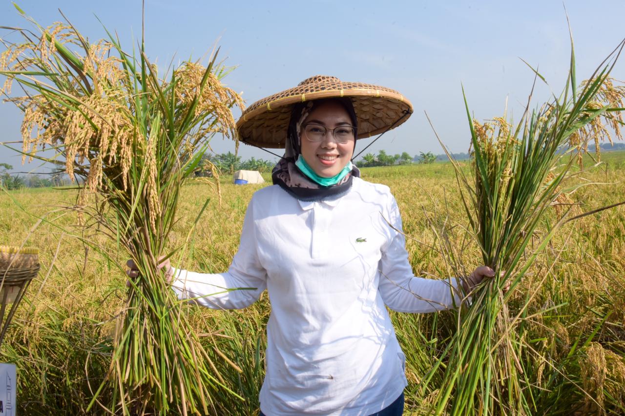 Penataan Lahan Sawah Dilindungi sebagai komitmen Bupati Purwakarta dalam menjaga ketahanan pangan