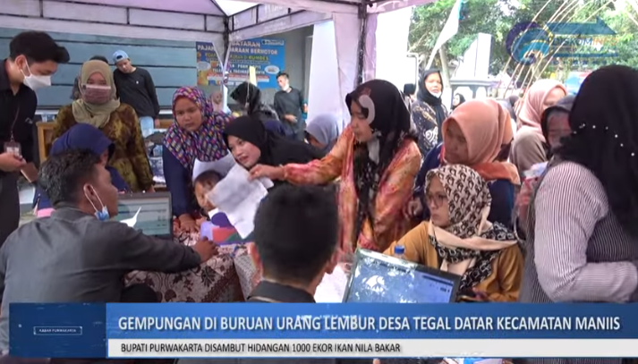 GEMPUNGAN DI DESA TEGAL DATAR KECAMATAN MANIIS, BUPATI PURWAKARTA DAPAT KEJUTAN 1000 IKAN NILA BAKAR