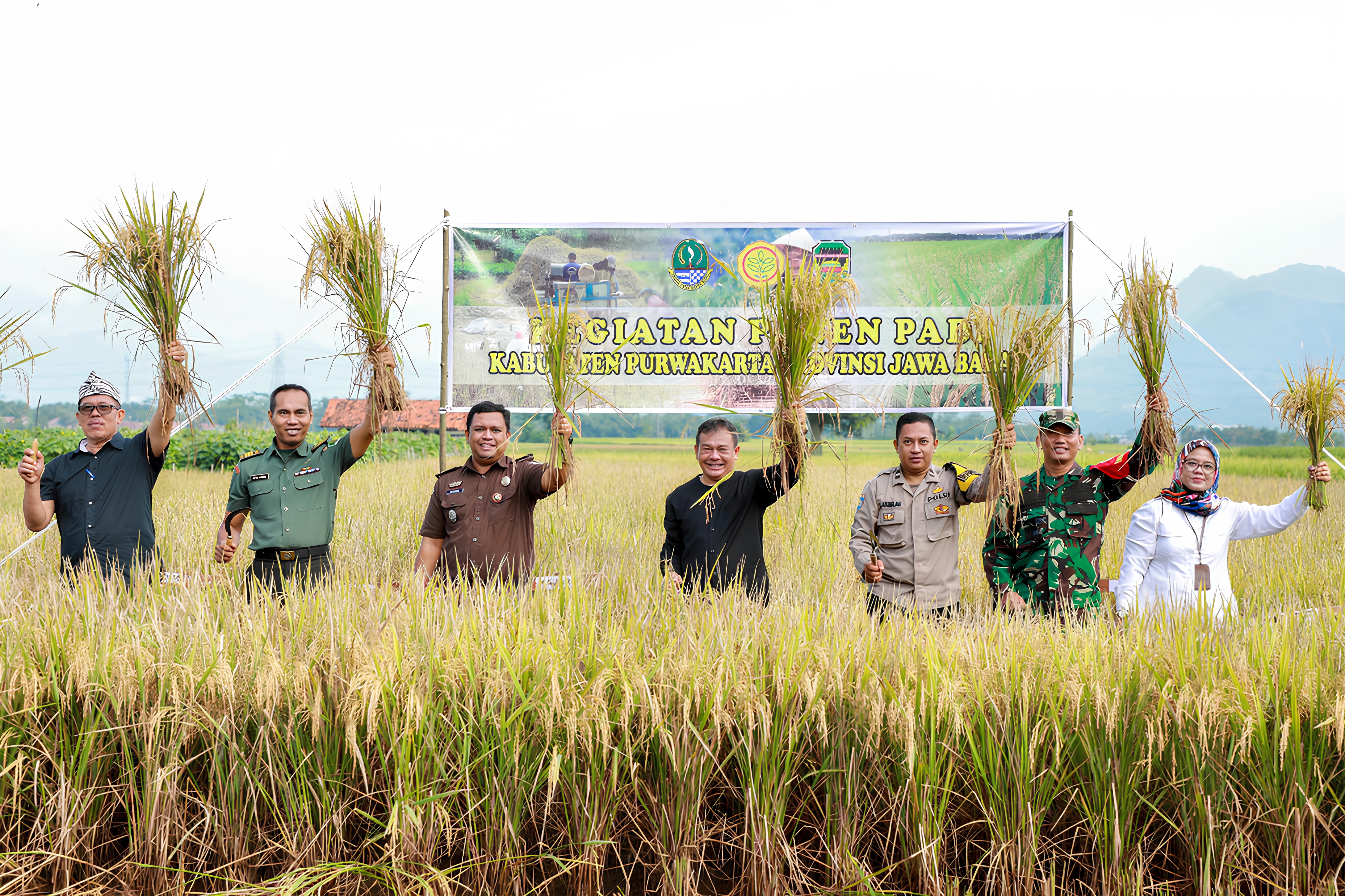 Panen Raya Musim Tanam Perdana di Purwakarta