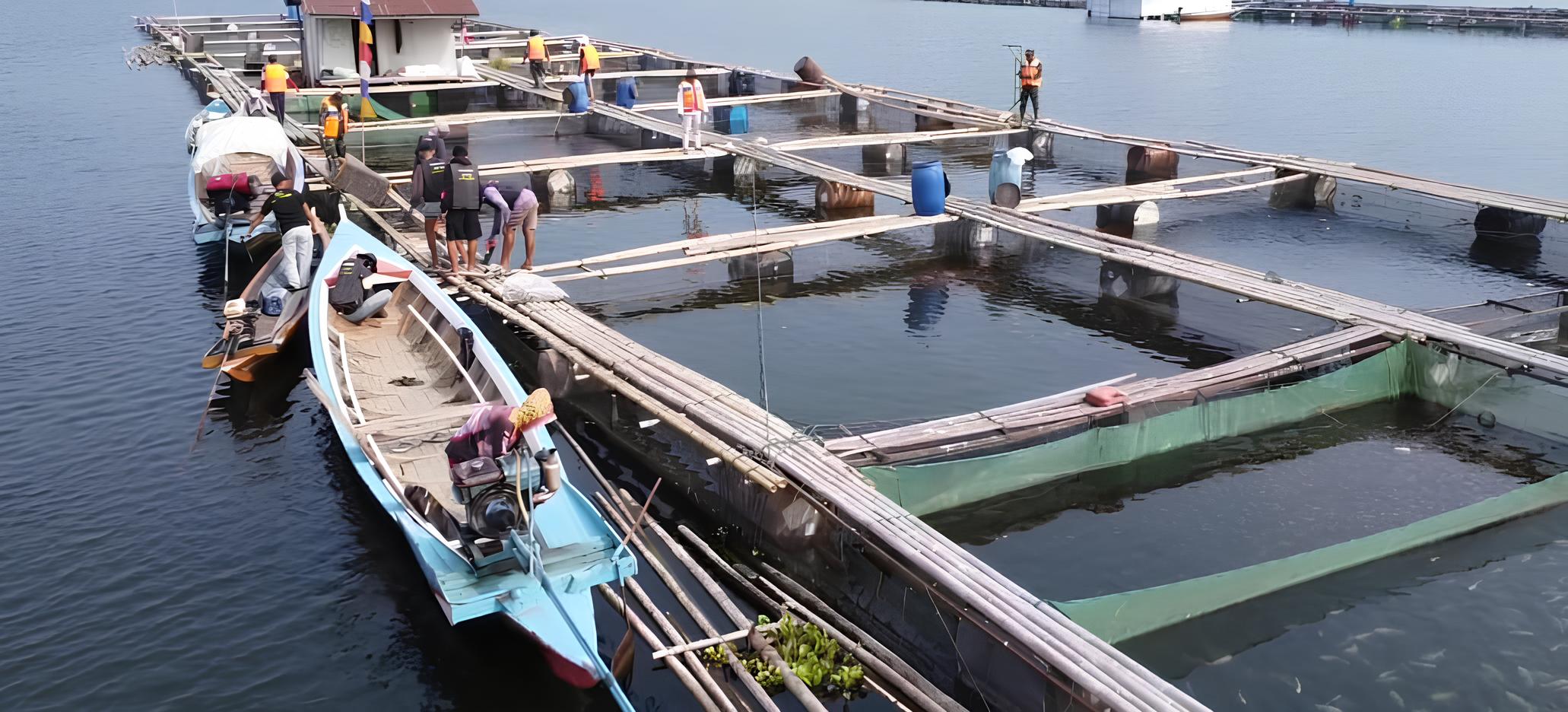 Purwakarta Perkuat Posisi Sebagai Penghasil Utama Ikan Air Tawar Jawa Barat