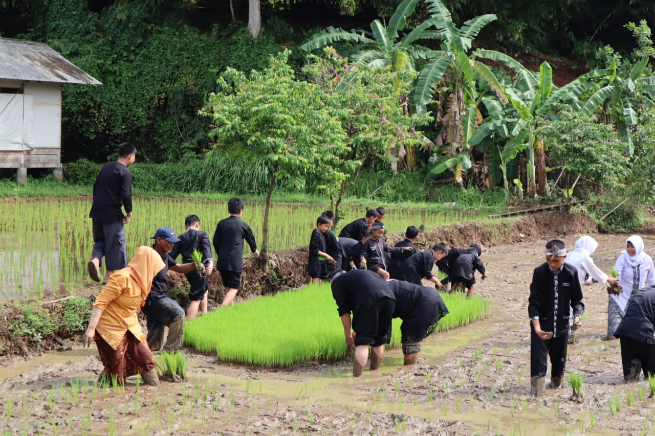 Disdik Purwakarta Dorong Sekolah Tanam Padi Bergizi