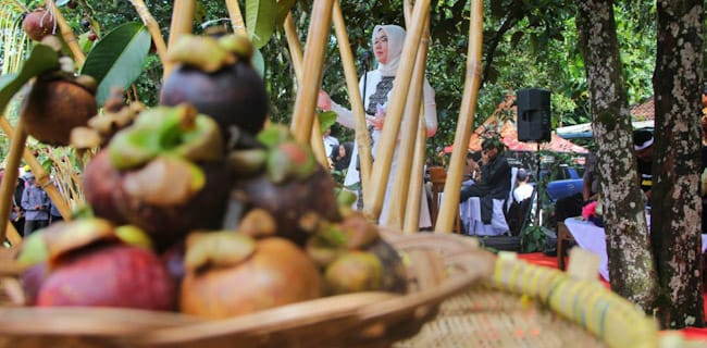 Ekspor Manggis, Purwakarta Bidik Pasar Timur Tengah