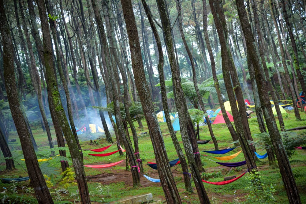 Pembukaan Destinasi Wisata jadi Solusi Pemulihan Ekonomi Masyarakat