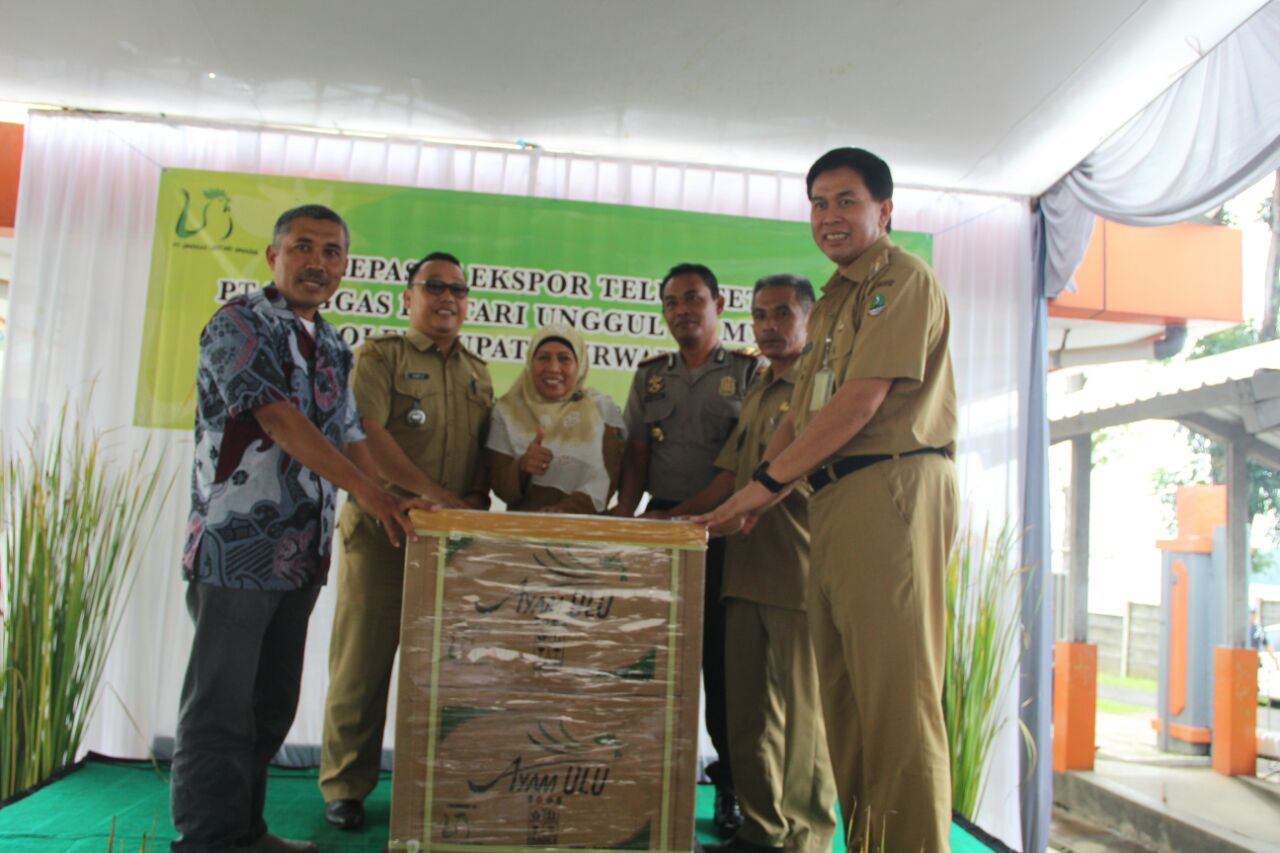 Purwakarta Ekspor Telur Siap Menetas ke Negara ASEAN