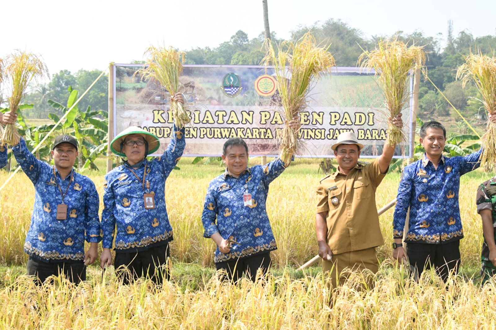 Penjabat Bupati Purwakarta Gelar Panen Raya di Desa Tanjungsari